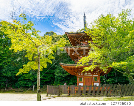 [Nara Prefecture] Reisanji Temple, Nara City (photographed on June 25, 2025) 127756080