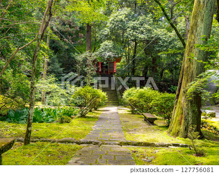 [Nara Prefecture] Reisanji Temple, Nara City (photographed on June 25, 2025) 127756081