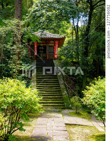 [Nara Prefecture] Reisanji Temple, Nara City (photographed on June 25, 2025) 127756082
