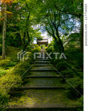 【奈良縣】奈良市靈山寺（2025年6月25日拍攝） 127756085