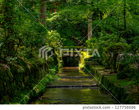 【奈良縣】奈良市靈山寺（2025年6月25日拍攝） 127756086