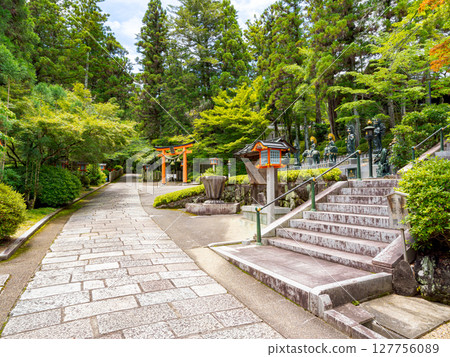 [Nara Prefecture] Reisanji Temple, Nara City (photographed on June 25, 2025) 127756089