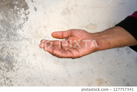 Small mustard seeds in the hand Small mustard seeds in the hand 127757341