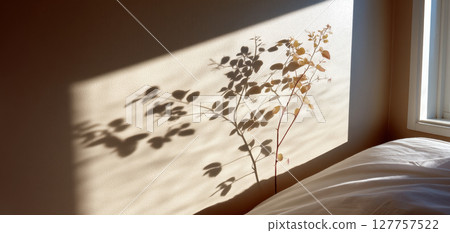 Morning sunlight casts peaceful shadow of delicate plant on bedroom wall creating calm mindfulness routine atmosphere filled with gentle warmth and quiet reflection 127757522