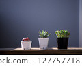 多汁植物 127757718