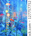 Fantastic goldfish swimming in an aquarium 127757752