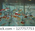 Goldfish to swim in aquarium 127757753
