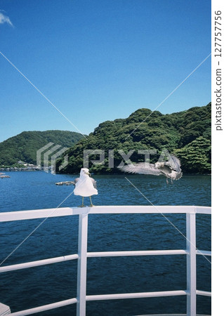 View of the sea and seagulls from the ferry 127757756