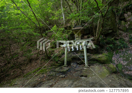 Torii gate and shrine of Ryuchin Shrine (Uda City, Nara Prefecture) Torii gate and shrine of Ryuchin Shrine (Uda City, Nara Prefecture) 127757895