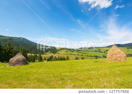 rural landscape in summer. wonderful sunny weather. countryside scenery with haystack on the field beneath a blue sky with clouds. carpathian village in the distance 127757988