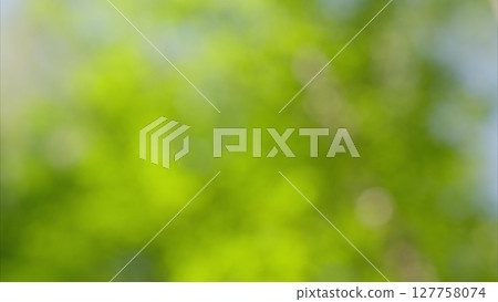 Explore the benefits of Vibrant Green Nature Backgrounds, perfect for relaxation and inspiration Explore the benefits of Vibrant Green Nature Backgrounds, perfect for relaxation and inspiration 127758074