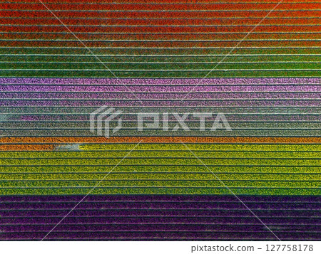 A breathtaking aerial view of colorful flower fields arranged in perfect diagonal rows, creating a vivid rainbow-like pattern across the landscape. A breathtaking aerial view of colorful flower fields arranged in perfect diagonal rows, creating a vivid rainbow-like pattern across the landscape. 127758178