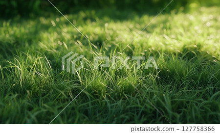 Green grass texture garden park nature home field gardening nature environment 127758366