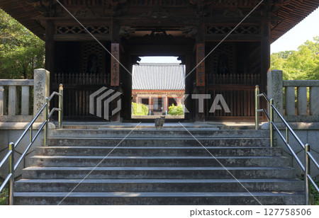 從屋島寺四天門眺望本殿，屋島寺是日本第 84 座寺廟（中央有一隻貓） 127758506
