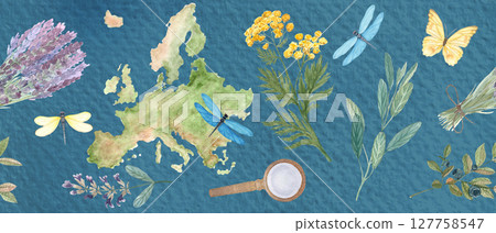 Map of Europe, botanical elements, dragonflies, butterfly seamless border on blue. Lavender, sage, blueberry, tansy. Ideal for herbal medicine, organic packaging, travel, or educational projects Map of Europe, botanical elements, dragonflies, butterfly seamless border on blue. Lavender, sage, blueberry, tansy. Ideal for herbal medicine, organic packaging, travel, or educational projects 127758547