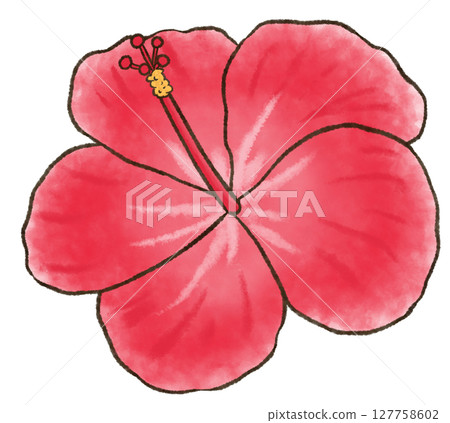 紅芙蓉的插圖 127758602