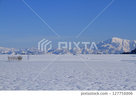 Hasa tree of snowy field · Echigo Miyama snow scene 127758806