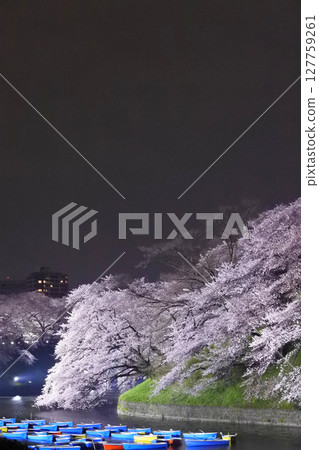 Cherry blossoms at night along Chidorigafuchi Cherry blossoms at night along Chidorigafuchi 127759261