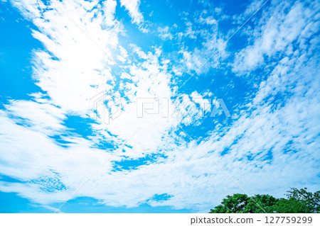 藍天,白雲和樹林 藍天,白雲和樹林 127759299