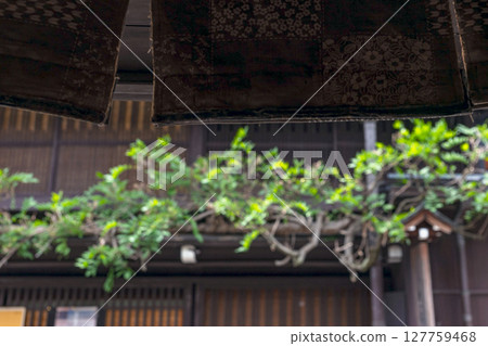 250521 Sanmachi z010 250521 Sanmachi z010 127759468