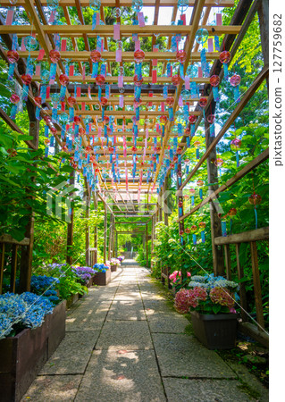 Gunma, Kawaba Village, Seiryuuzan Kichijoji Temple, Wind chimes on the approach to the temple 127759682