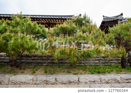 Namsangol Hanok Village traditional public park in Seoul, capital of South Korea Namsangol Hanok Village traditional public park in Seoul, capital of South Korea 127760164