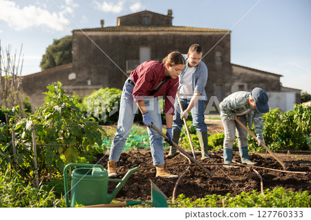 Man woman and boy weeding garden beds 127760333