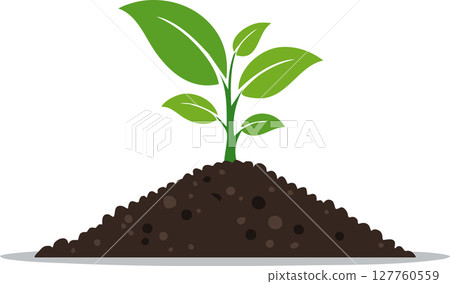 Fresh botanical scene showing tiny stem and vivid leaves rooted in nutrient soil surrounded by minimalist whitespace ready for health wellness or organic farming copy 127760559