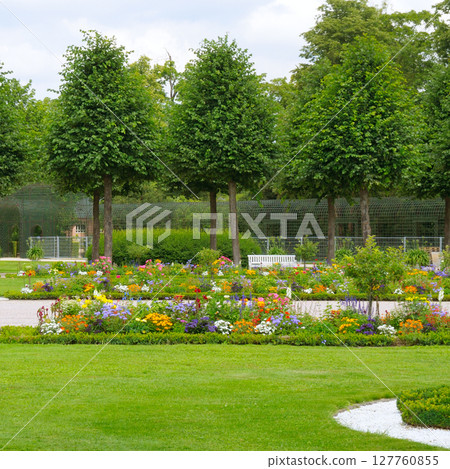 Flowers in gardens and parks. 127760855
