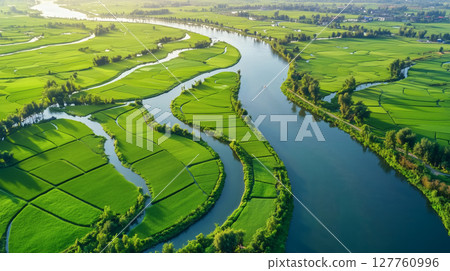 Aerial photography of rice fields on both sides of the river Aerial photography of rice fields on both sides of the river 127760996