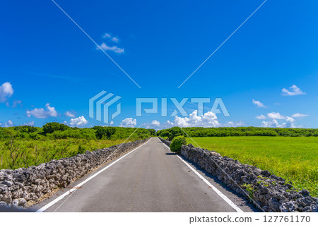 Kuroshima Island with its Gajumaru Heart 127761170