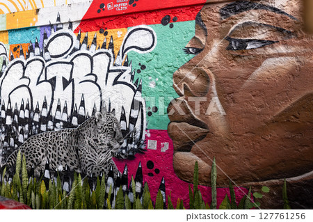 graffiti in rio de janeiro graffiti in rio de janeiro 127761256