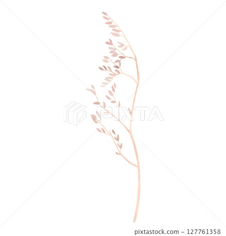 Dry branch of wildflower. Hand drawn watercolor illustration of a herbarium on isolated background. Dead plant drawing suitable for decorating fabrics, paper, scrapbooking, tape, packaging, postcards. 127761358