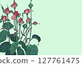 帶有水彩畫粉紅色玫瑰花蕾插圖的小卡片 127761475