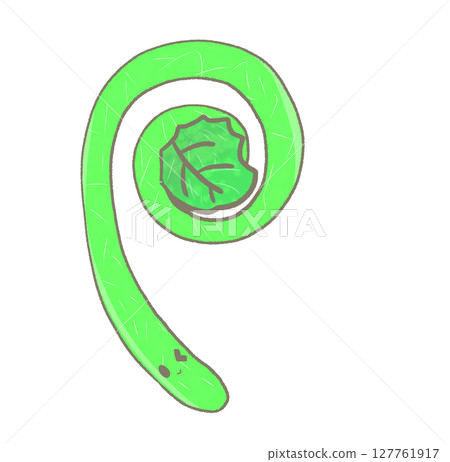 R: More fairy-tale vegetables ☆ fern ② 127761917