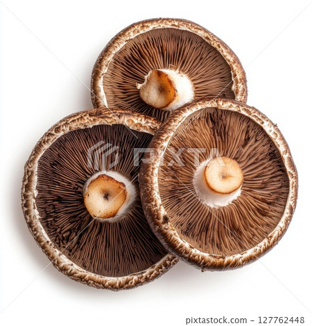 mushrooms isolated on white background mushrooms isolated on white background 127762448