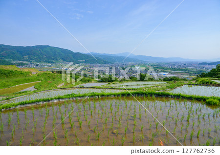 [Obasute Rice Terraces] Paddy fields after rice planting and Zenkoji Plain [Chikuma City] 127762736