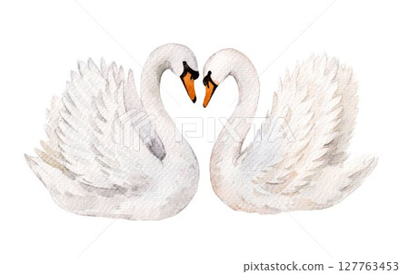 Romantic watercolor swans illustration with heart-shaped pose. Perfect for wedding decor, Valentine Day cards, love themes, and elegant print design Romantic watercolor swans illustration with heart-shaped pose. Perfect for wedding decor, Valentine Day cards, love themes, and elegant print design 127763453