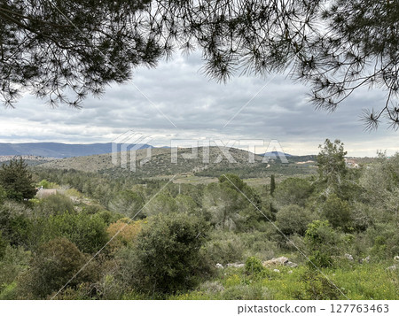 View of the hills of Upper Galilee View of the hills of Upper Galilee 127763463