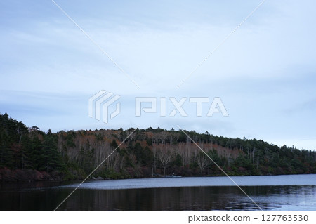 Landscape with a lake 127763530
