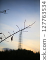A dead tree with a steel tower and the sunset in the background 127763534