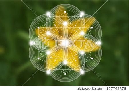Seed Flower of life lotus icon, logo mandala sacred geometry, symbol of harmony and balance. Mystical talisman, white circles lines vector green natural background 127763876