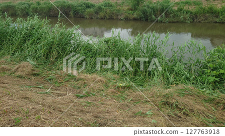 Riverside scenery Stream flow Riverside scenery Stream flow 127763918