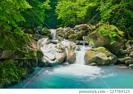 栃木縣那須鹽原市的綠色森林和Sukkanzawa 栃木縣那須鹽原市的綠色森林和Sukkanzawa 127764123