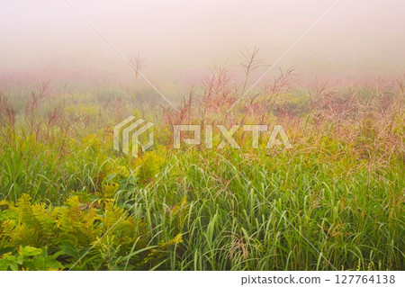 長野縣霧峰高原的秋天 2 長野縣霧峰高原的秋天 2 127764138