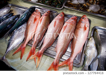 Asian fish market, large red snapper fish displayed on metal trays for sale 127764418