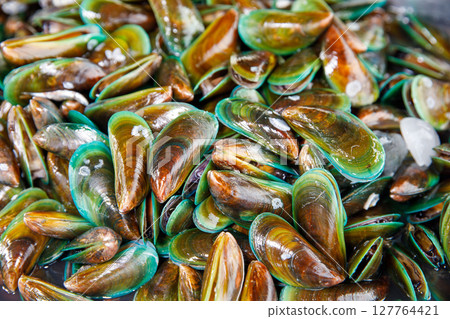 Fresh green mussels with shiny shells and ice cubes on wet seafood market table 127764421