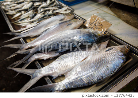 Closeup of large fresh silver fish with glistening scales on market tray 127764423