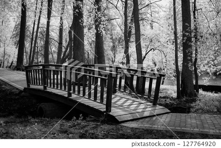 Nestled among tall trees Nestled among tall trees 127764920