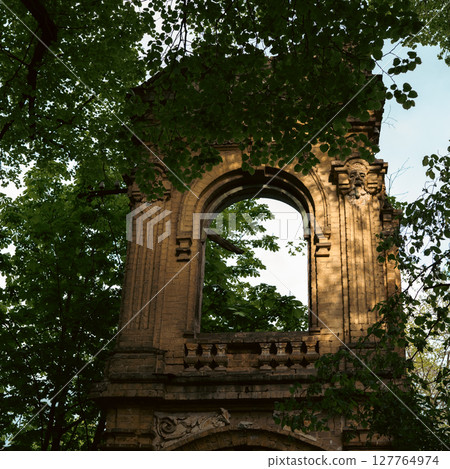 Surrounded by vibrant green leaves, the stone archway exudes a timeless elegance and tranquility. Surrounded by vibrant green leaves, the stone archway exudes a timeless elegance and tranquility. 127764974